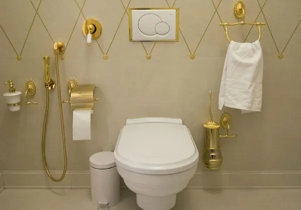 Правила использования гигиенического душа в туалете как сохранить сантехнику дольше Гигиенический душ как пользоваться