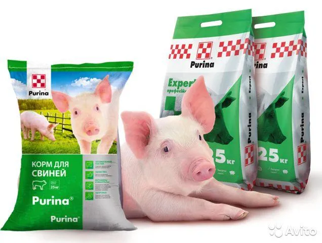 Преимущества и состав Пурины для свиней как правильно давать и срок хранения Пурина для поросят как кормить