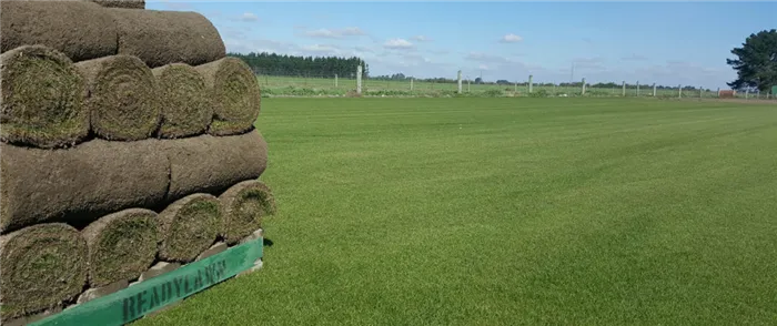 Укладка рулонного газона своими руками тонкости и рекомендации Как укладывать рулонный газон самостоятельно