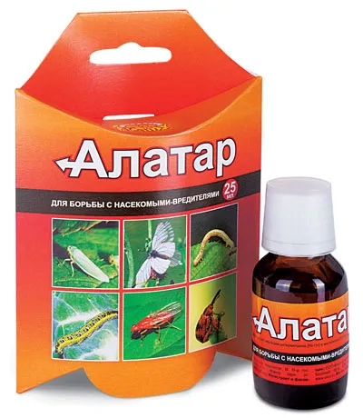 Борьба с насекомыми с помощью Алатар с чем можно смешивать препарат Алатар с чем можно смешивать
