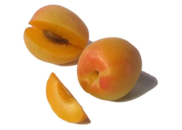 Как называется персик скрещенный со сливой памятка начинающему садоводу Смесь персика и сливы как называется