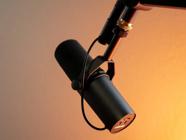 Лучшие микрофоны для стрима и записи вокала в 2023 году Какой микрофон купить для вокала