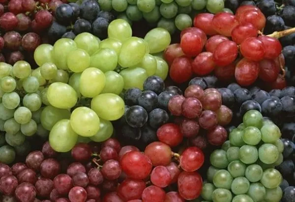 Из чего сделан виноград Из чего сделан виноград