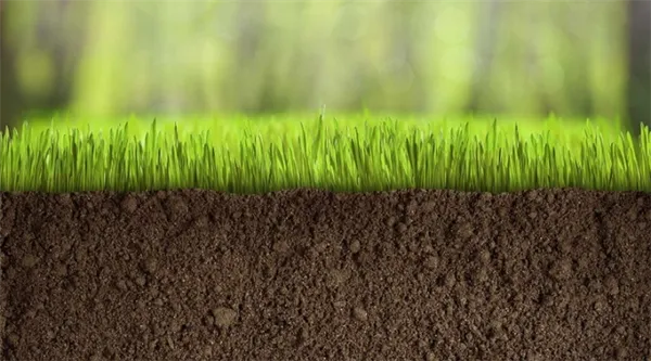 Грунт для газона особенности и выбор Какой слой земли нужен для газона