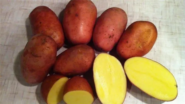 Какие сорта картофеля лучше подходят для жарки красные или белые Какая картошка для жарки