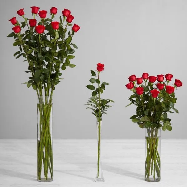 Высокие розы описание сортов на длиной ножке с большими бутонами Большие розы как называются